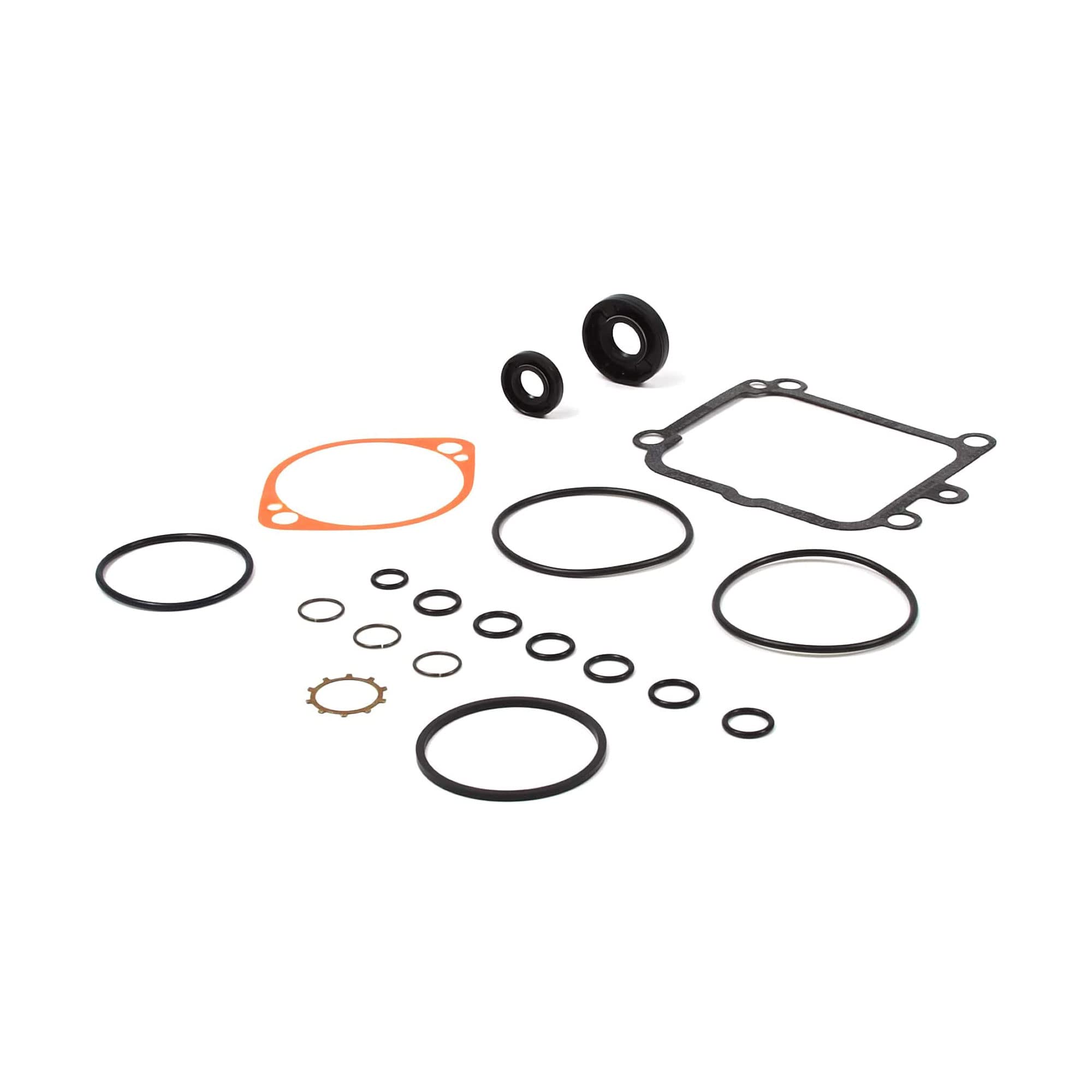 Amazon.com: 2 Pack Genuine Hydro Gear Pump Overhaul Rebuild Seal